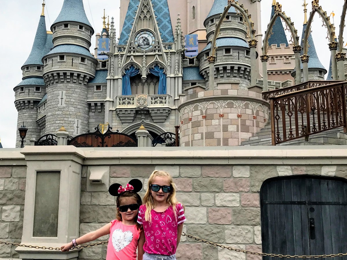 Disney Sucks – I Can’t Wait to Go Back